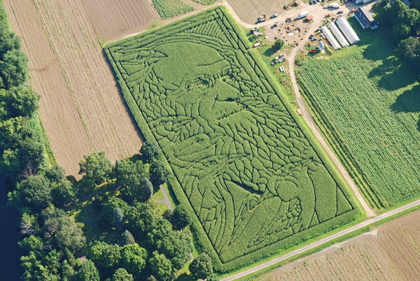 Mike's Maze